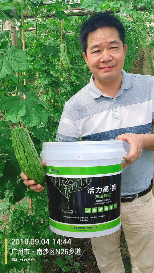 三效合一，增效顯著 活力高R菌、黃腐酸、魚蛋白復合菌劑引領微生物肥料新突破