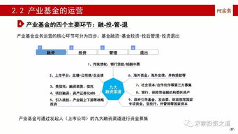 產業基金全過程運作 構建、投資、投后管理與風險控制解析